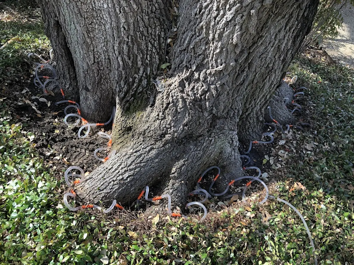 Detailed Shrub and Hedge Trimming job site in West Hills