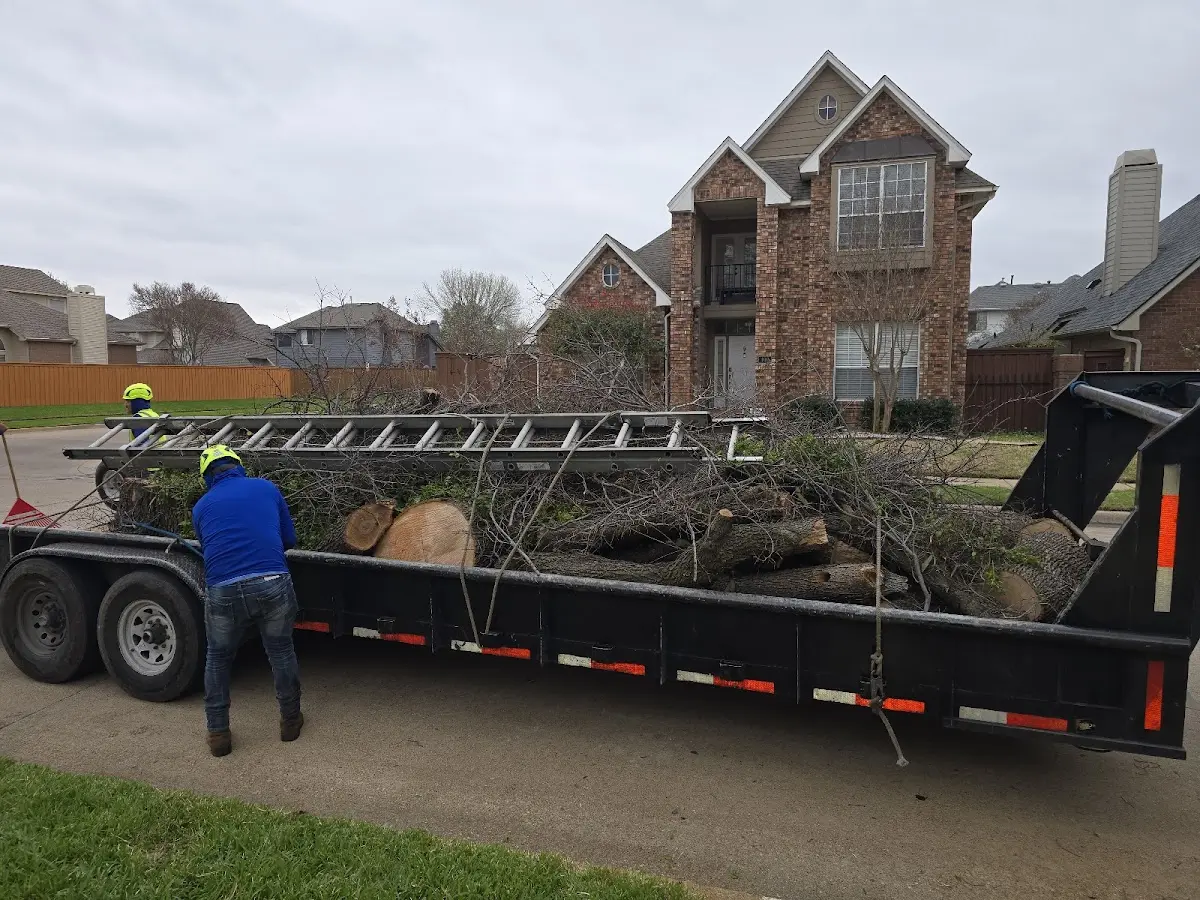 Expert Tree Pest Control with proper safety equipment in West Hills